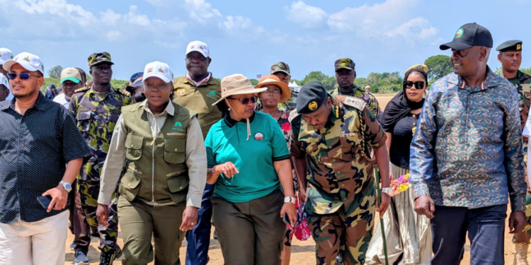 Science Driving Kenya'S Next Wave Of Mangrove Restoration, Says Dr Njuguna Science Driving Kenya'S Next Wave Of Mangrove Restoration, Says Dr Njuguna