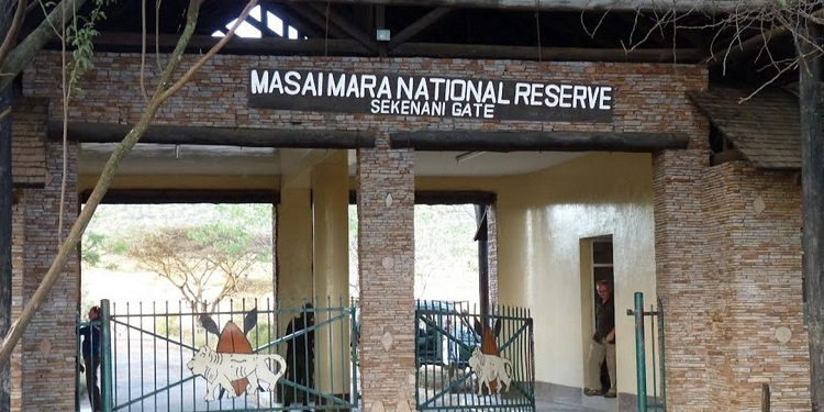 Masai Mara Safari Cost 2026: Complete Budget Breakdown for Kenya Trips