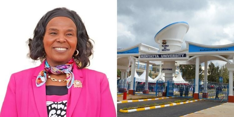 Former Kenyatta University Vice Chancellor Professor Olive Mugenda And Professor Paul Wainaina Have Been Summoned By The National Assembly'S Public Investments Committee On Governance And Education To Explain Audit Queries.