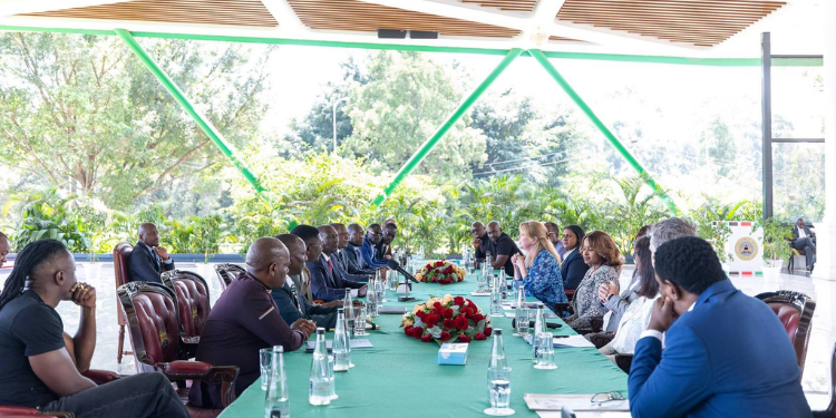 President William Ruto With Phonographic Industry (Ifpi) Chief Executive Officer Victoria Oakley And Other Officials Photo/Pcs