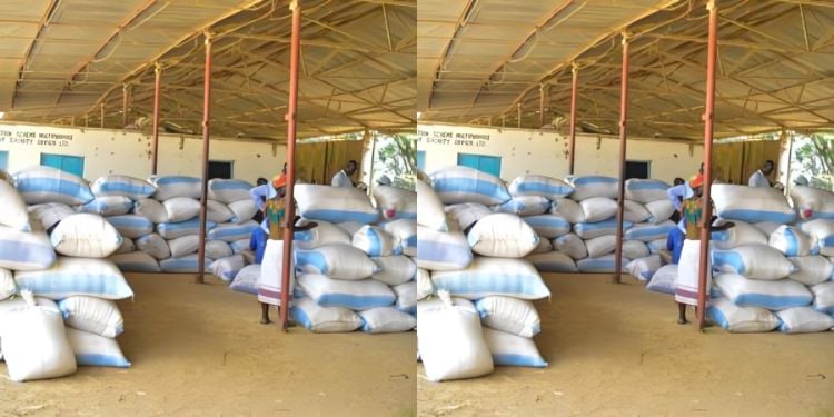 The High Court In Kisumu Has Ordered Top Government Officials To Give A Report On The Details Of The Implementation Of The 490,000 Metric Tonnes Of Grade 1 Milled White Duty-Free Rice Importation Program.