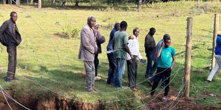 Sabor CFA members inspect the damaged section of the Kaptagat Forest fence the morning after it was vandalised.