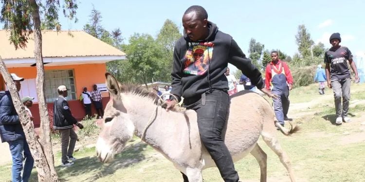 Little-Known Details About Timothy Kariuki, Ol-Kalou Candidate Who Campaigned On A Donkey Timothy Kariuki Kamau, Popularly Known As Timo, Is A 26-Year-Old Gen Z Activist And Aspiring Politician Eyeing The Ol Kalou Constituency Parliamentary Seat In The July 16 By-Election After The Death Of The Former Mp, David Kiaraho.