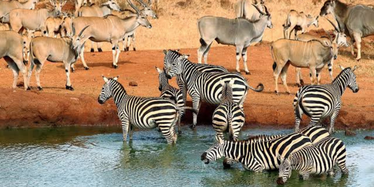 Top 10 Best Road Trip Destinations In Kenya For 2026 Every Traveler Should Visit