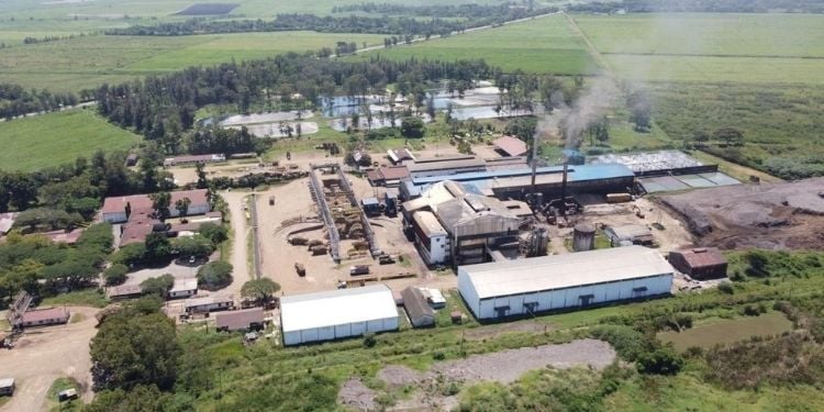 Chemelil Sugar Revival Breathes New Life Into Kenya'S Sugar Belt