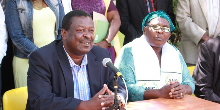 Jacinta Mwatela Profile: Career, Education, Family and Political Life