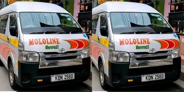 Inside Mololine'S Rise From A Nakuru Shuttle To A National Brand