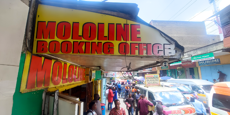 Inside Mololine's Rise From a Nakuru Shuttle to a National Brand