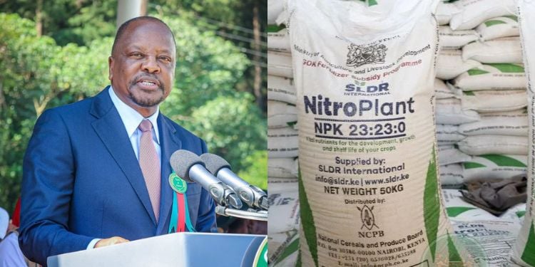 How Kenyan Farmers Can Get Fertilizer At Ksh2,000 And Maize Seed At Ksh300 Under New Govt Subsidy Program