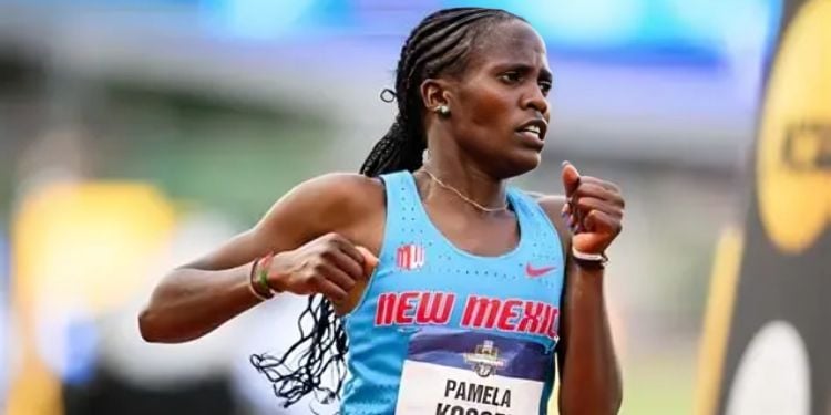 Kenyan Distance Runner Pamela Kosgei Claimed Victory During The Women'S Race At The 54Th Asics Falmouth Road Race In Massachusetts, United States.