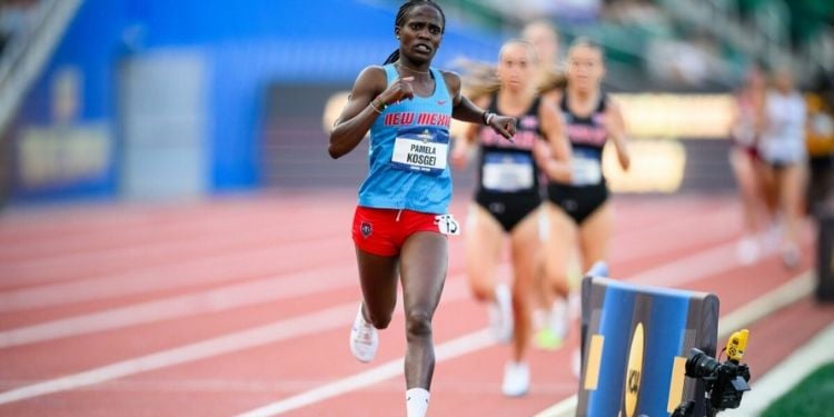 Kenyan Distance Runner Pamela Kosgei Claimed Victory During The Women&Amp;Apos;S Race At The 54Th Asics Falmouth Road Race In Massachusetts, United States.