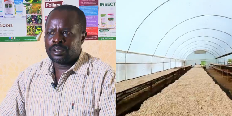 Collage Of Paul Kosgei, Chairman Of Sorwot Farmers Cooperative Society And Coffee Farm Photo/Handout