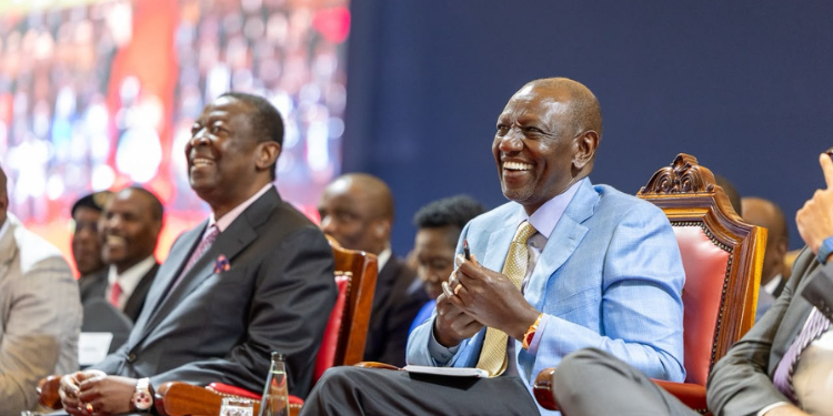 Digital Cooperation Organization Approves Kenya Among 8 Countries For Membership