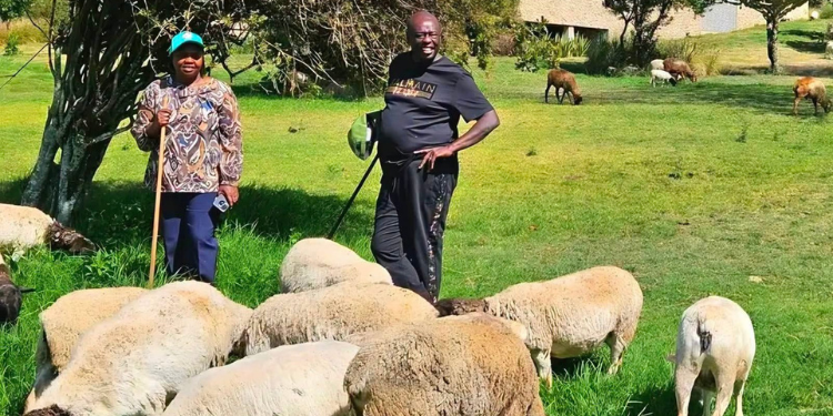 Gachagua'S Ksh800 Million Empire Hidden In Hotels, Real Estate And Other Investments Rigathi Gachagua Wealth Profile: Businesses, Hotels And Properties Linked To His Family