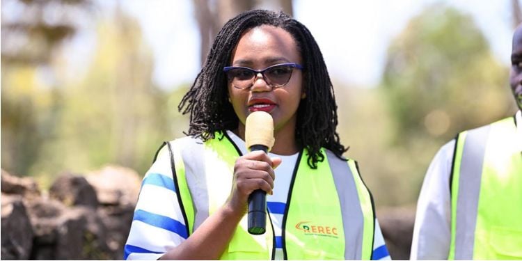 Kenya Secures 10 International Job Partnerships With Germany, Japan And U