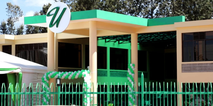 Kamau Njoroge: Profile of Billionaire Behind Kenya’s Umash Funeral Home Empire
