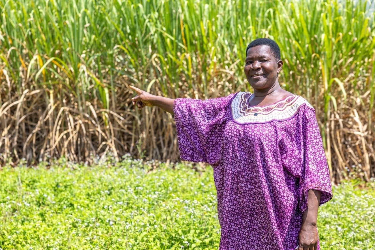 A Sweet Turnaround: Sony Sugar Revival Rekindles Hope In Migori