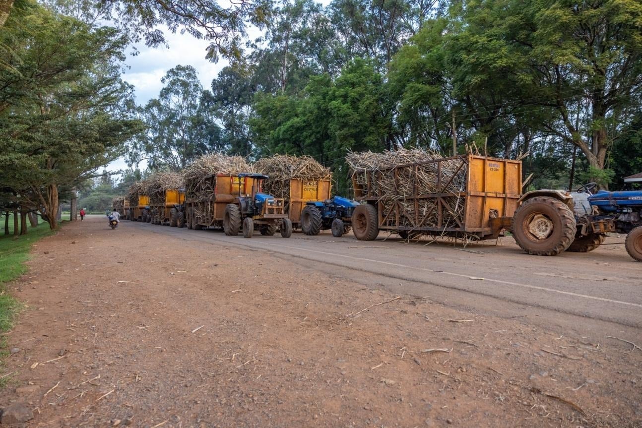 A Sweet Turnaround: Sony Sugar Revival Rekindles Hope In Migori