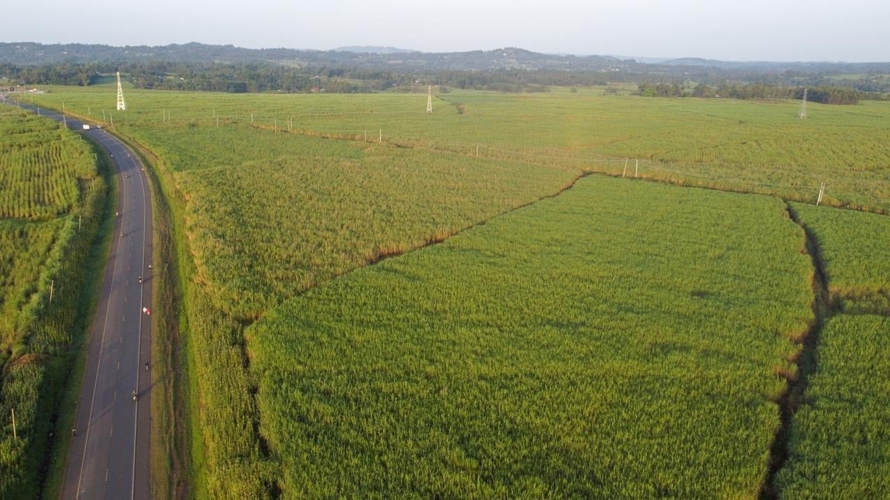 A Sweet Turnaround: Sony Sugar Revival Rekindles Hope In Migori
