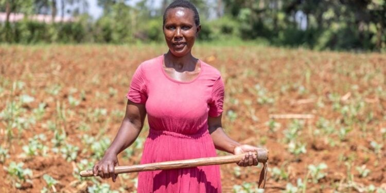 A Sweet Turnaround: Sony Sugar Revival Rekindles Hope In Migori