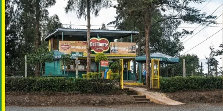 Del Monte Faces Government Land Takeover As 21.7 Hectares Targeted In Murang’a