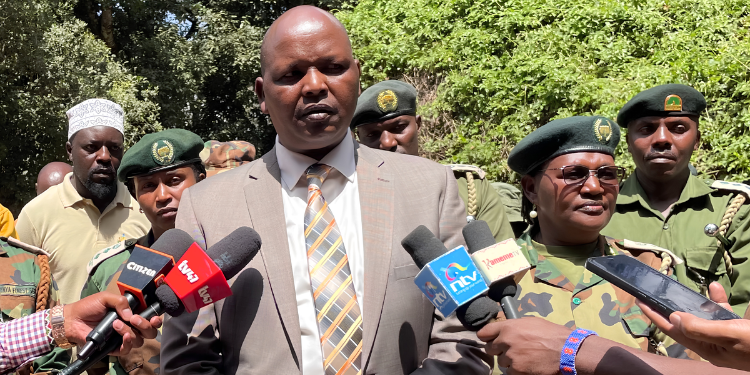 Kfs Hunts For Suspects After 350 Trees Felled In Saboti Forest