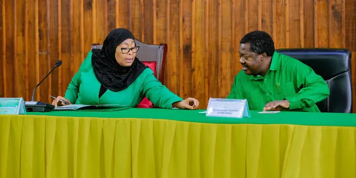 Tanzania Vice President Emmanuel Nchimbi Resigns