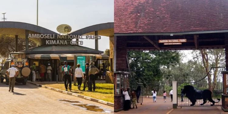 Kws Releases New 2026 Park, Sanctuary And Marine Area Fees For Domestic Tourists
