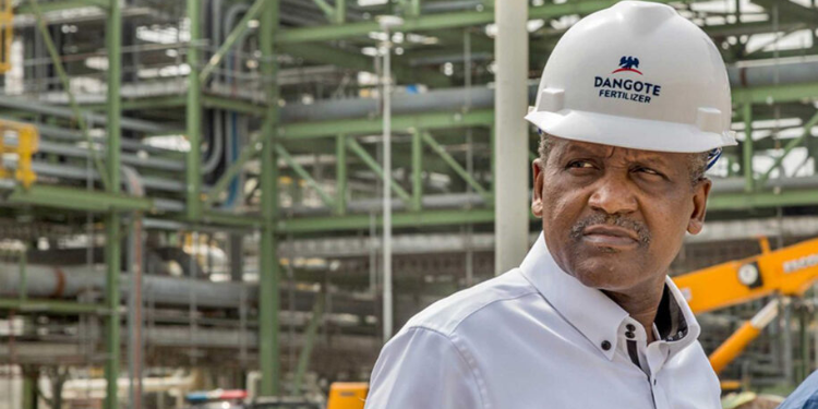 Dangote Kenya Gdr Minimum Investment Cut To Ksh535 Ahead Of October 13 Deadline