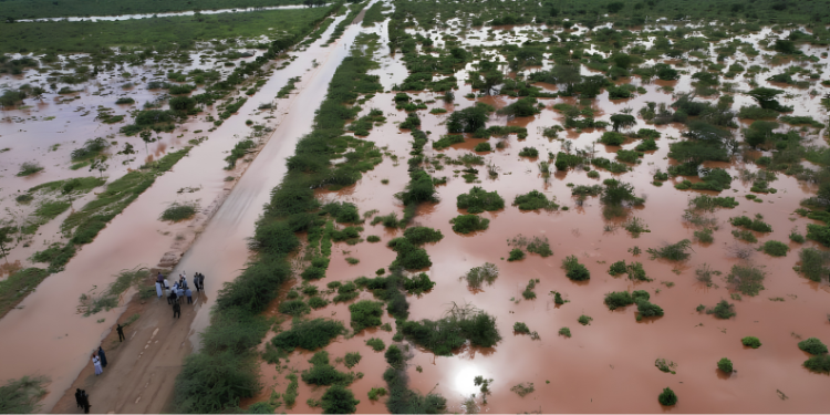 Weatherman Lists Counties Expected to Receive Rain Over Next Seven Days