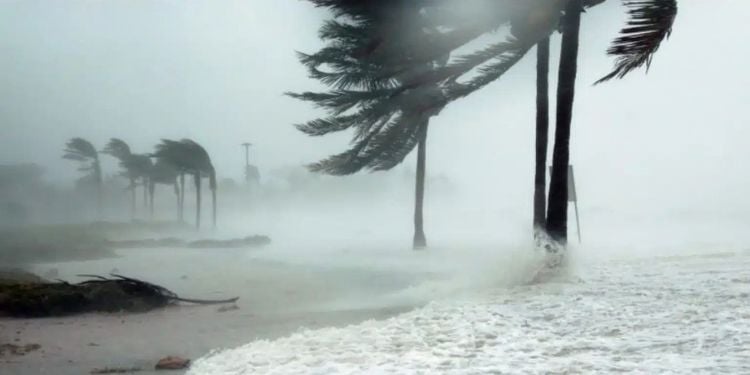 Heavy Rain And Strong Winds To Hit 36 Counties This Week Kmsa Forecasts Heavy Rain And Strong Winds In 36 Counties From September 22 To 28