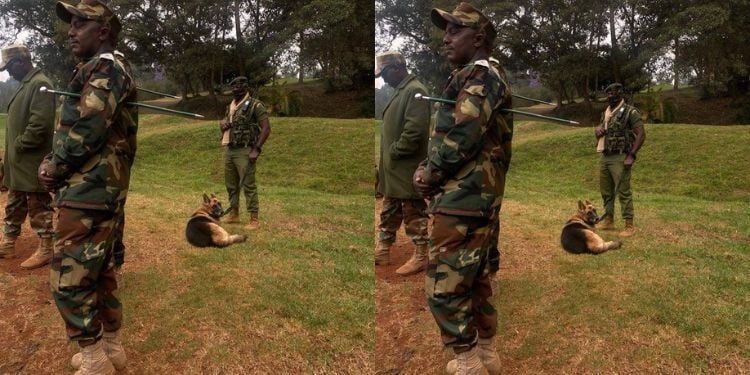 Gachagua Drags Ruto Into Muthaiga Golf Club Land Grab Storm Former Deputy President Rigathi Gachagua Has Alleged That President William Ruto Is Targeting Muthaiga Golf Club Amid The Ongoing Land Dispute.