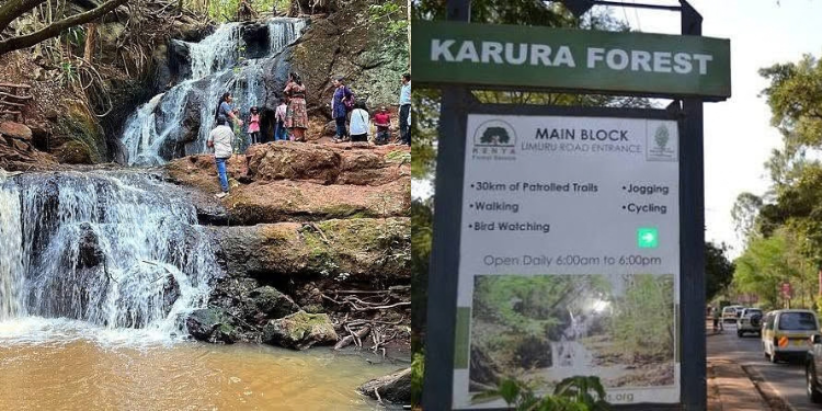 Nairobi Free and Low-Cost Things to Do: Parks, Museums and Weekend Activities