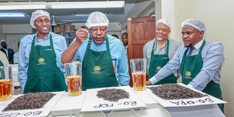 Earnings Of Tea And Coffee Farmers In Mt Kenya Rise As Reforms Take Effect Boon For Farmers As Reforms Boost Tea And Coffee Earnings In Mt Kenya