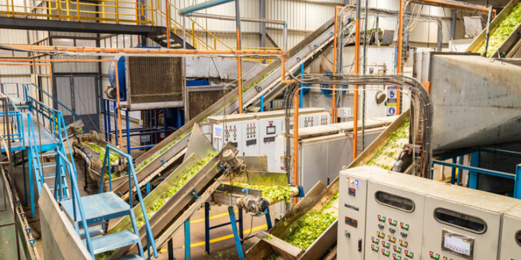 South Rift Tea Farmers Set for Direct European Market Linkages Through Equity Bank
