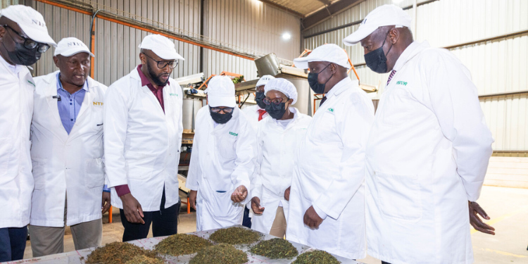 Equity Bank Targets South Rift Tea Farmers With Direct Access To European Markets South Rift Tea Farmers Set For Direct European Market Linkages Through Equity Bank