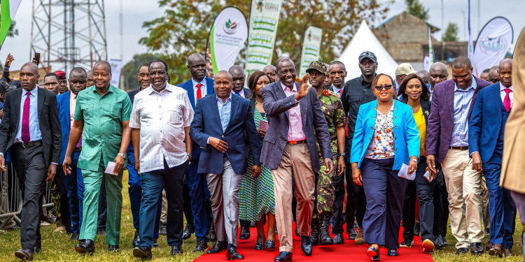 Earnings Of Tea And Coffee Farmers In Mt Kenya Rise As Reforms Take Effect How Government Support Is Boosting Agriculture And Farmers’ Incomes In Mt Kenya