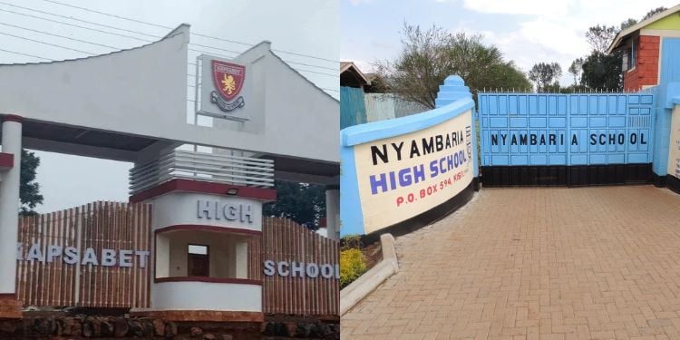 Do You Have Grade 10 Looking To Pursue Mathematics, Physics And Chemistry Combination. Here Is A List Of All Schools Offering The Combination.