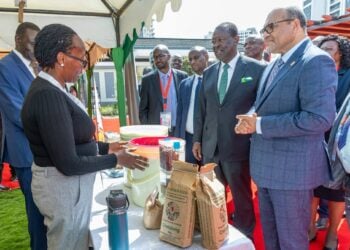 From Ai Ambitions To Execution: Africa’s Path To Competitive Edge