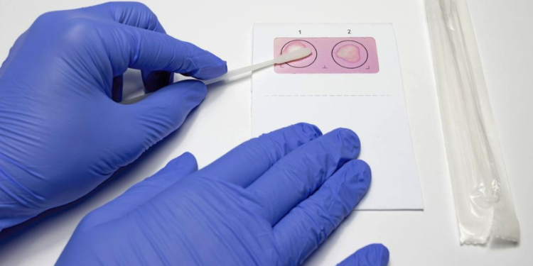 DNA Paternity Tests: What Can Lead to Incorrect Results?