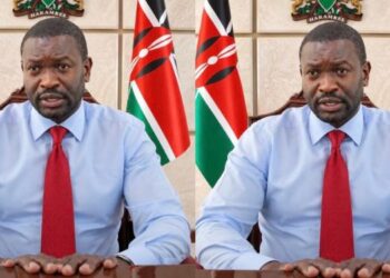 Edwin Sifuna Profile: Nairobi Senator’s Legal Career, Political Setbacks, Odm Fallout And 2027 Presidential Ambition