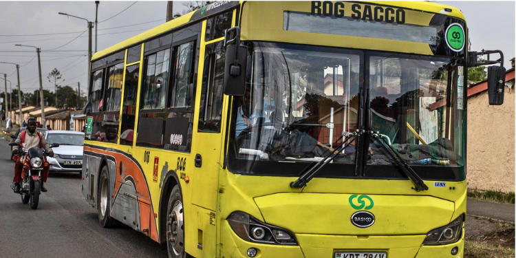 Rog Sacco&Amp;Apos;S Profile: Leadership, Routes And The Formula Behind Its Success 