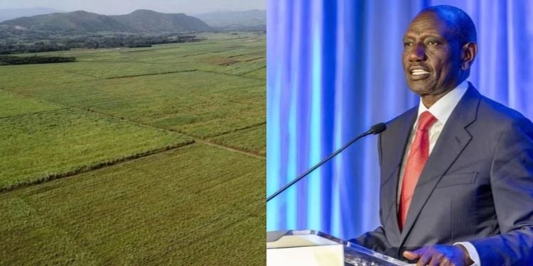 Two Counties Affected As Ruto’s Govt Moves To Hand Over More Than 10,000 Acres To Gold Investors Joho Announces Gold Mining Licence Application Covering 41 Square Kilometres In Turkana And West Pokot