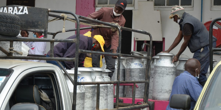 Methu Links Milk Shortage To Alleged New Kcc Privatization Plan