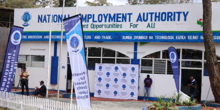 How Neaims Is Connecting Thousands Of Kenyan Job Seekers To Employers