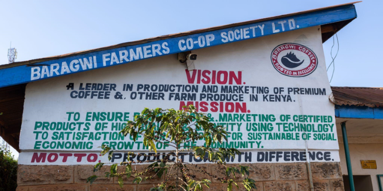 Nyanja Factory Targets 20 Million Kilos As Coffee Harvests Rise