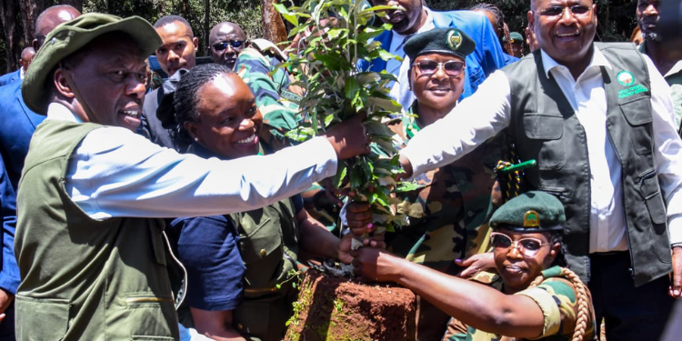 Environmental Action Takes Centre Stage As Kenya Marks Mazingira Week Environmental Action Takes Centre Stage As Kenya Marks Mazingira Week