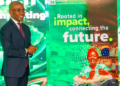 17 Billion Free Transfers: The Quiet M-Pesa Feature Kenyans Are Using Most Safaricom Ceo Peter Ndegwa. Photo/Safaricom