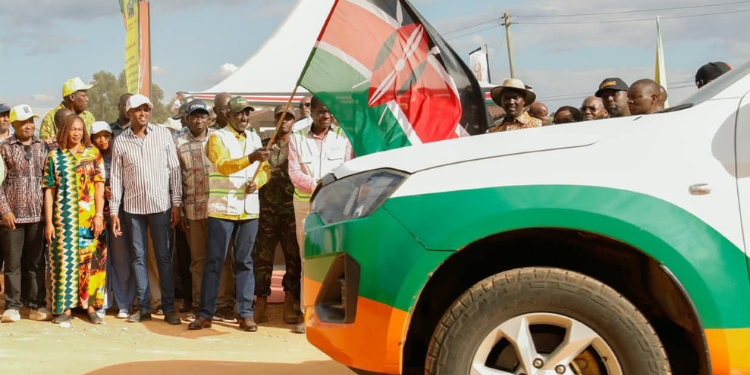 Trans Nzoia Power Projects