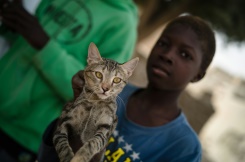 On The Prowl: Mali Child Cat Hunters Honor Age-Old Tradition